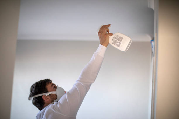Best HVAC Mold Remediation in Algonquin, IL