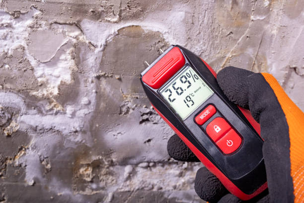 Reliable Algonquin, IL Mold Remediation Solutions