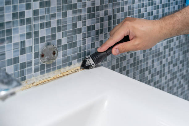 Best Post-Flood Mold Remediation in Algonquin, IL